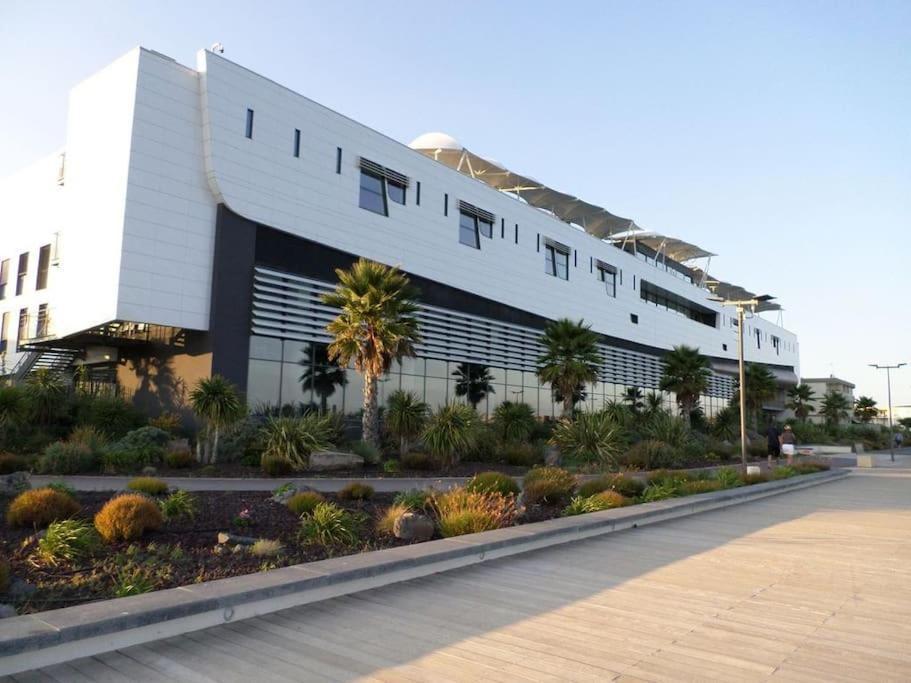 Grande Villa Neuve Avec Piscine Pres Mer Et Sete Balaruc-les-Bains Dış mekan fotoğraf