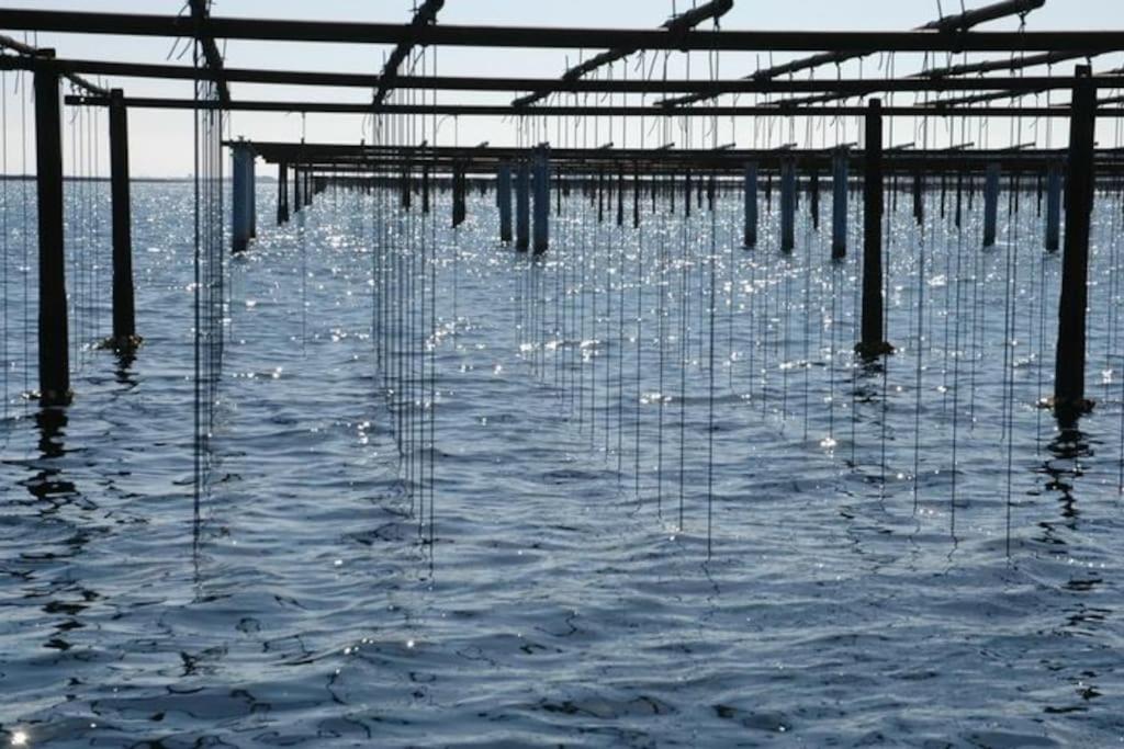Grande Villa Neuve Avec Piscine Pres Mer Et Sete Balaruc-les-Bains Dış mekan fotoğraf